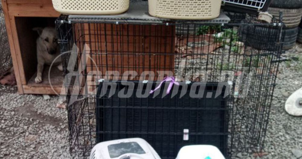 ������ � ����� ����� ��������� �������� �� ����������� ���������� ����������