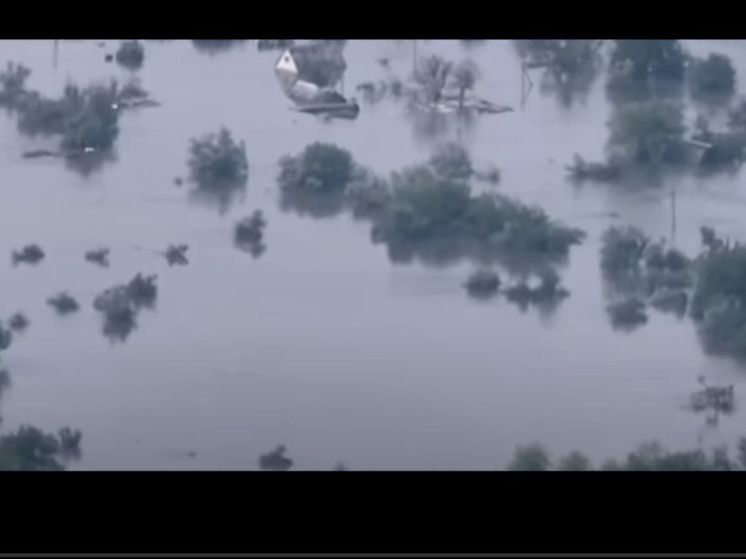 ����� 7,5 ���. ������� ������������ ����� ������� ��������� ��� � ���������� �������