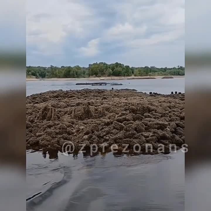 �������� �����: ���������������� ������� ��������� ������