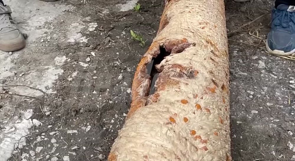 ����� ������ �������� ������������ ����������� �� ������� ���������������, �� �������� ������� ��� �������� ����� �� ���������� ������