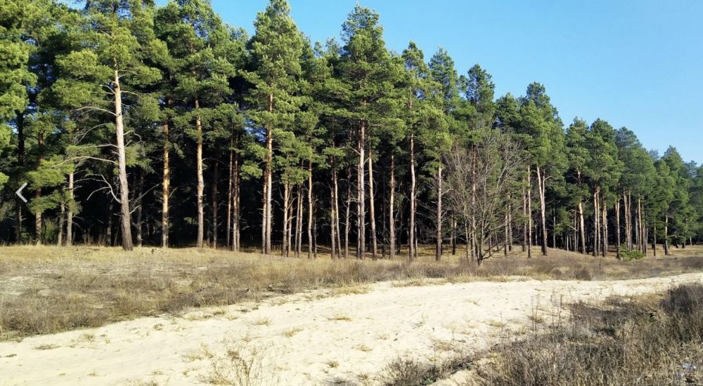 ������������� �� �������������� ������ ����� � ����� ���������