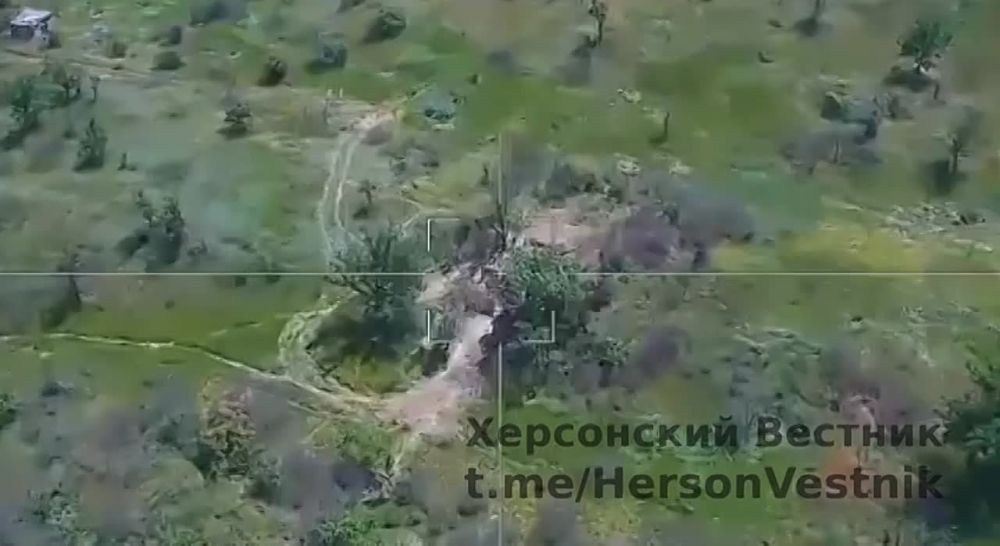 �� �� ���������� ������� ��� �� ������ ������ ���������� �������