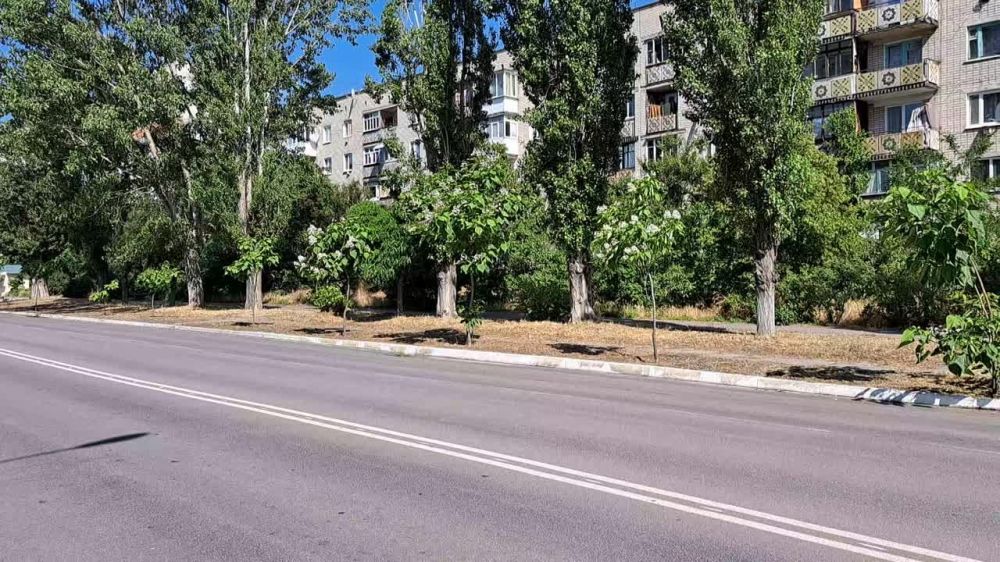 � ����� ������� �� ��������� ������ �������� ��������