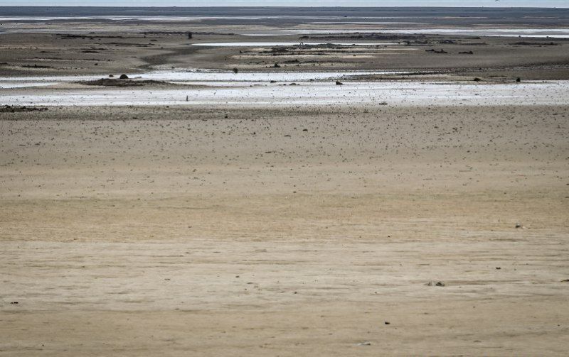 ����� �����: ��������� ������������� �� �������� �������� �������� ���������� ��������� ����