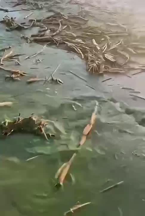 ���� � ������ ����� ������ �� ��������� ��� ����� �������