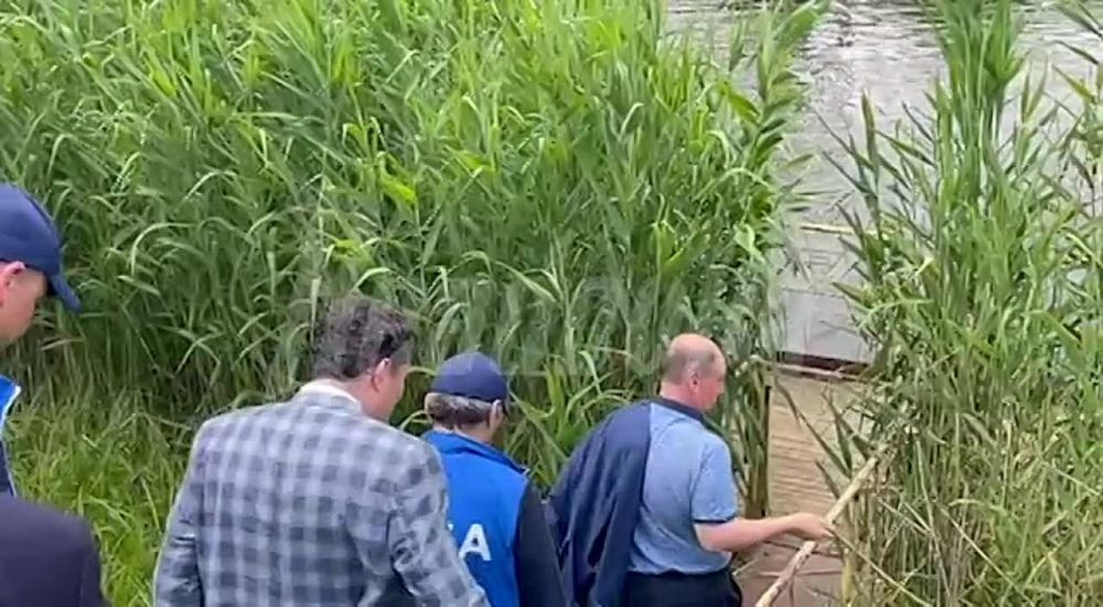 ������ �������� ������� ������� ���� � ��������� ������������� � � �����-����������