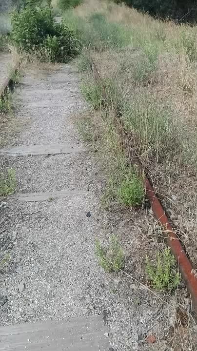 ����������� ������ � ������� ����� ����������� �� ����