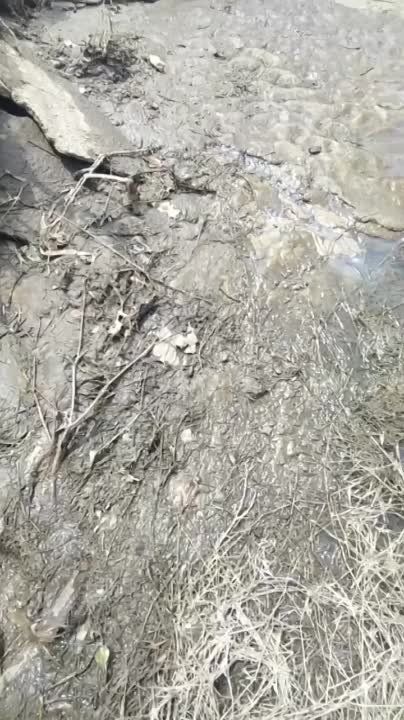 ����������� ������ � ������� ����� ����������� �� ����