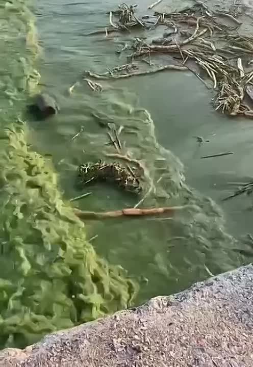 ���� � ������ ������������ � ������� ������ ����� ������� ��� �� ��������� ���