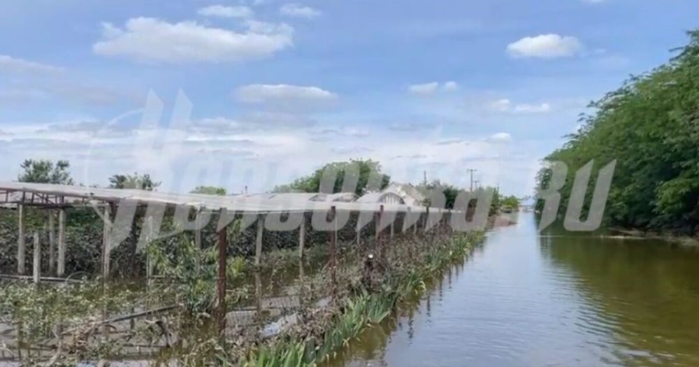 ����������: ���������� ��������� ��� �� �������� �� ����� ������ ��������������� ������