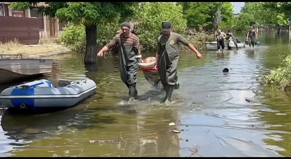 ����� ����������: ����� ��������, ��. 1 ���