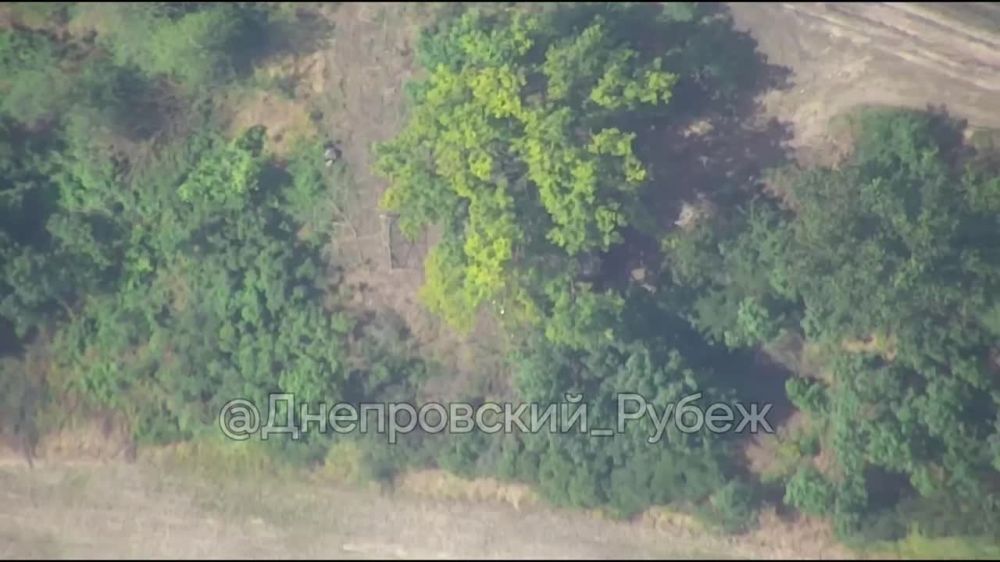 ����� ��� ���� ����������� ������� �777 ���