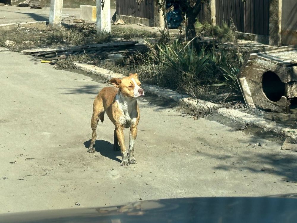 ������, ���������� � �����������, ���� ����� ���������, ���� ���� �������, ����� ����� � ������ "����� ���������"