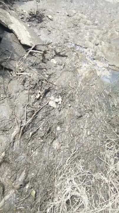 ����� ���� ������ ����� ������