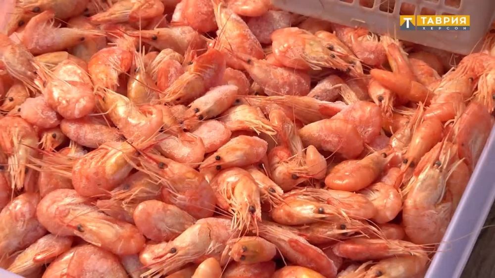 � ������������ � ���������� ������� ���� ��������� �������� ���������� ����� ����������� �� ������������ ��������� ���������� ��������� ��� �� ������������� ������ � �������� �������