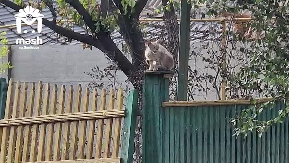 � ���������� ������� ������� �������� �� ���� ����������