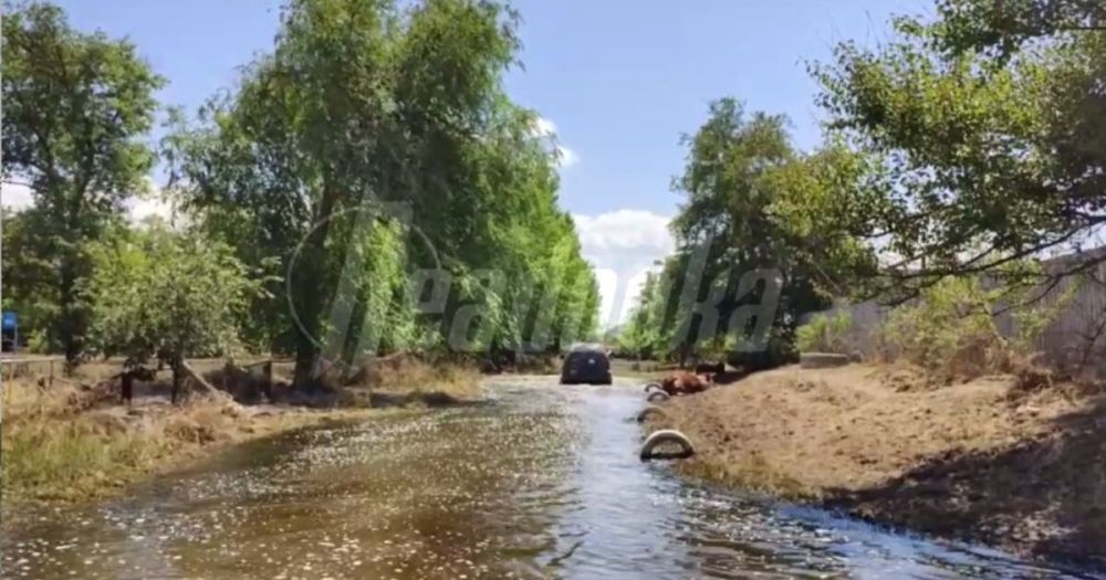 ��� ���� ���������� ����� �� ������ ��������� � ����� ��������