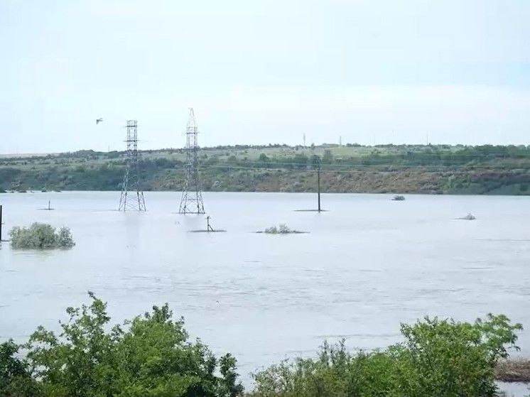 ����� ����� ����������� ���������� ��������� ��� �������� 25