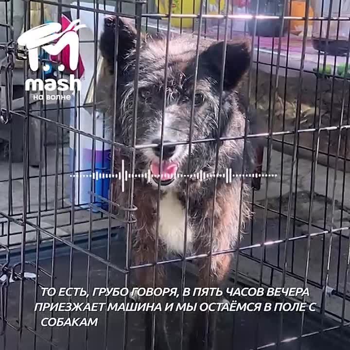 �������� �� ����� ���� ��� �������, �������� � ���� ����������� � ���������� �������