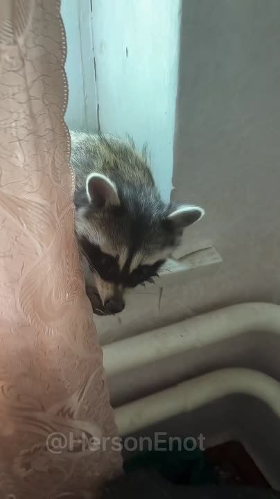 ���� �� �������: � ������ ����� ������ � �������� ��� ����������