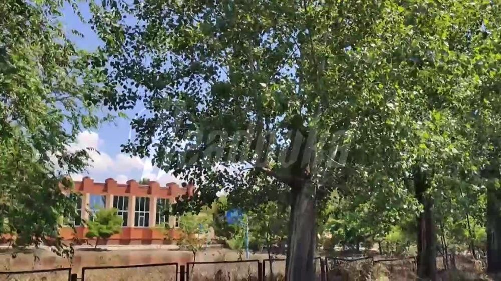 ��������� ��� �����: ��� ������������ ��������� � ����� ��������