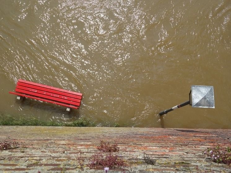 ��������� ���������� � ������� � ���� ����������� � ���������� �������