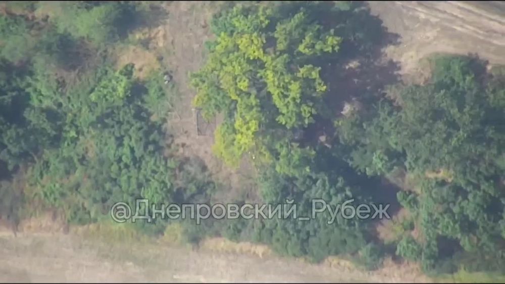 �� ���������� ����������� ������� ��������� ������������ �������