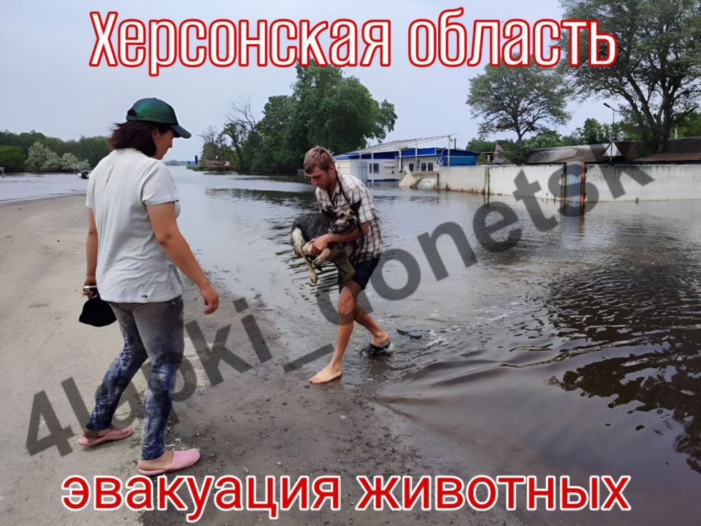 ���������� �������. ���� ����������! ������