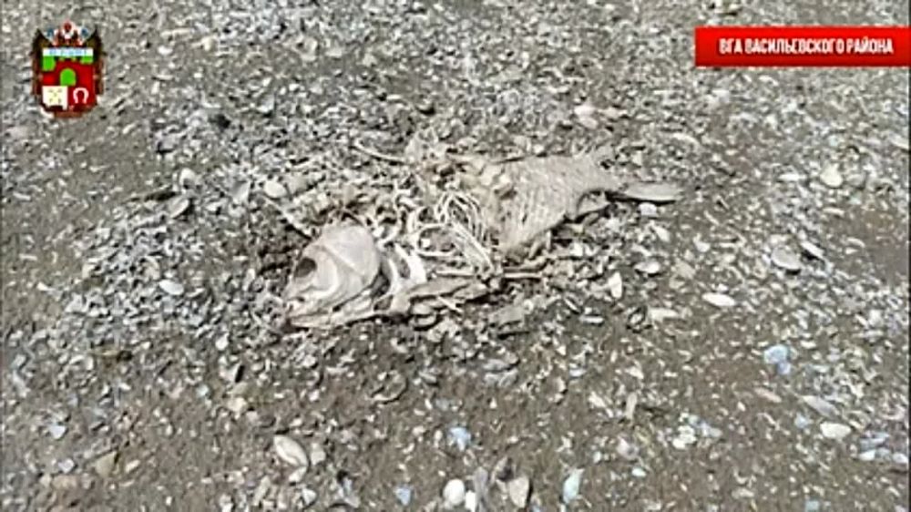 ��������� �������������. ������� ���� ����� ����������