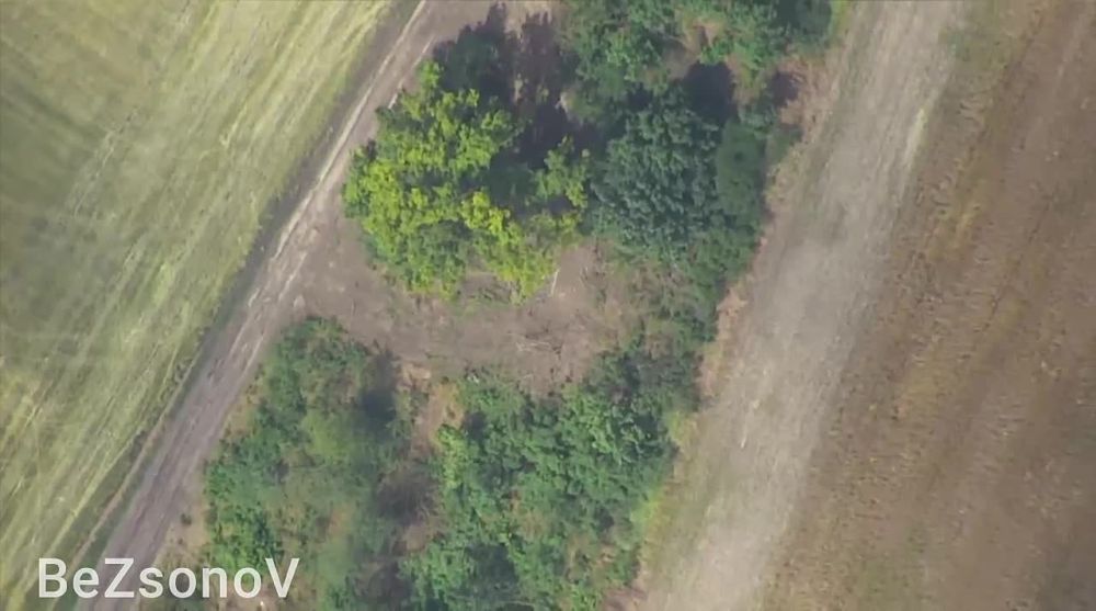 ������ ��������: #���������. ����� �� ���������� ����������� � ������ ������������� ����� 80 ������� �� �� ����������...