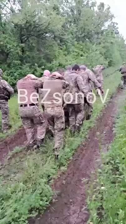 ����� �� ���������� ����������� � ������ �������������� ������� � ���� �� 20 ���������� ������������� 5 ���� 2 ��������� 28 ������� ���