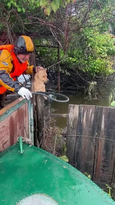 �� ������������ ����� ���������� ��������� ��� ����������� ��������� �������� ���������� ��������, ������� �������� �� ��������� � ����� �� ������