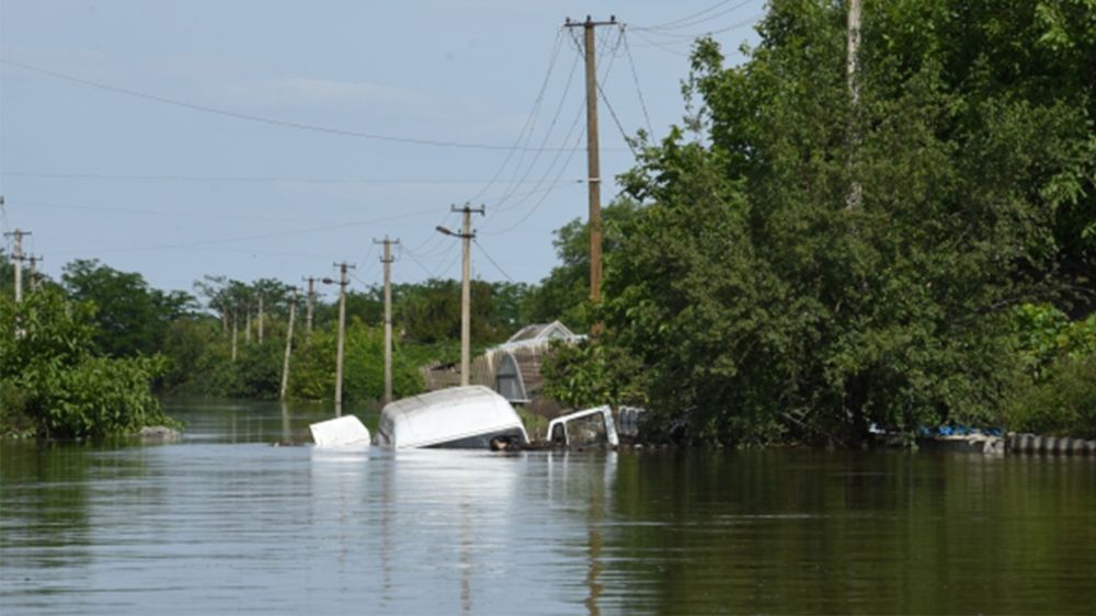 ����� �������� ����� ���������� ��������� ��� �������� 25