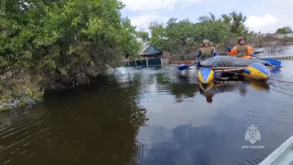 �� ��������� ����� �� ���� ������������ � ���������� ������� ������������ 295 �������