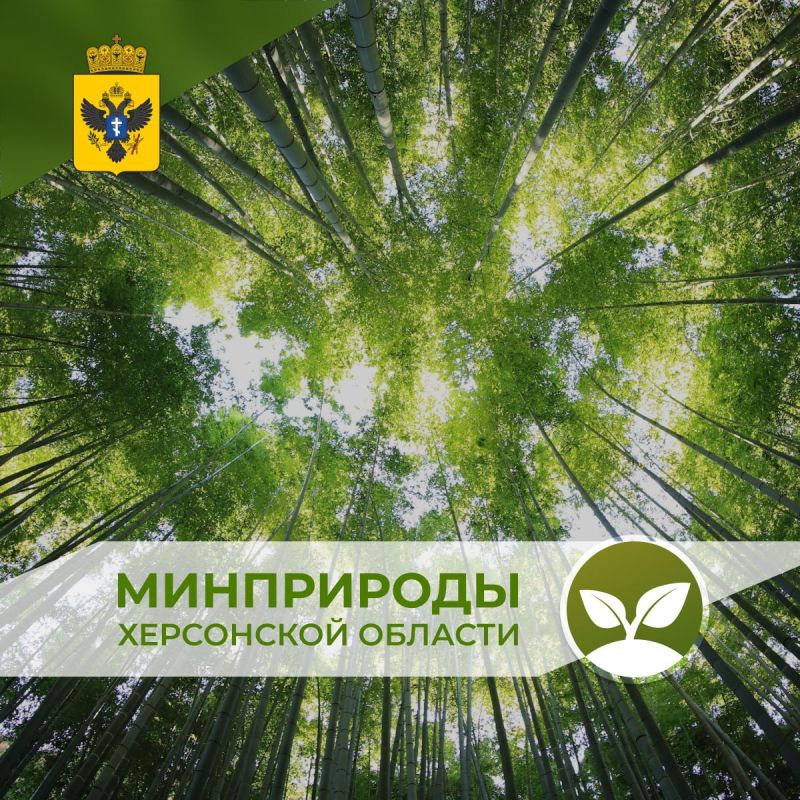 ������������� ������ �������� �������������� �� ��������� ������� ��������� � ����� ��������