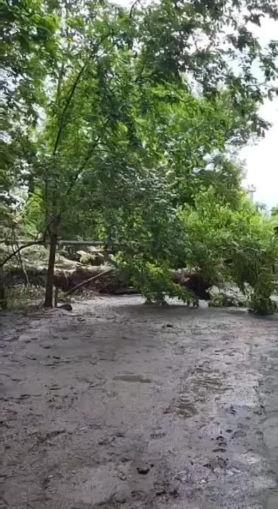 � �� ��� ������.... ����������� �-� �������: ���� �����, ���������� �������, � ��� ��� ����� ����