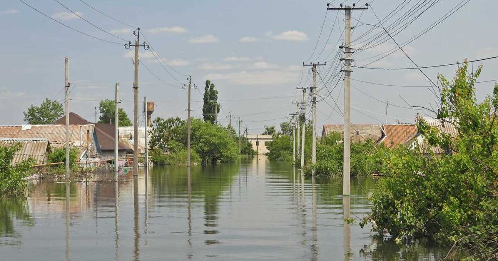 ����� ����� ���������� ��������� ��� ����������� �� 25