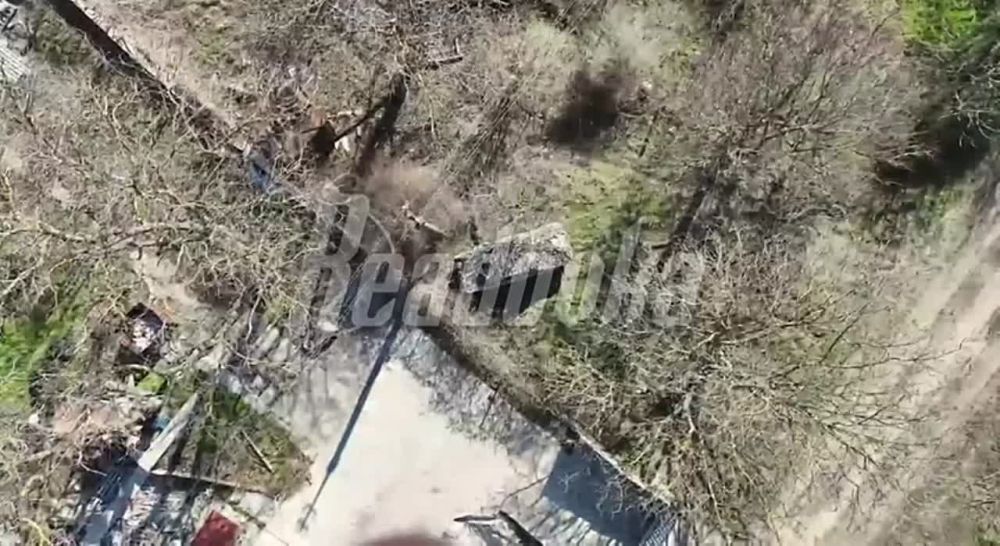 ����� ������ ������ ������� ����������� �� ���������� ����������� � ������ ���������� ��������� ��������������� ����� ���