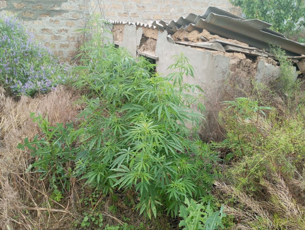 � ������ ���� ����������� ���������� ������� ����������� ������ 500 ������ ������� � ���������