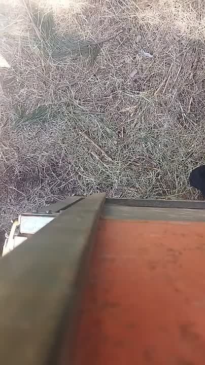 ���������� ����������� �� ��������� ����� � ������ �.�. ������ ���������� ���������