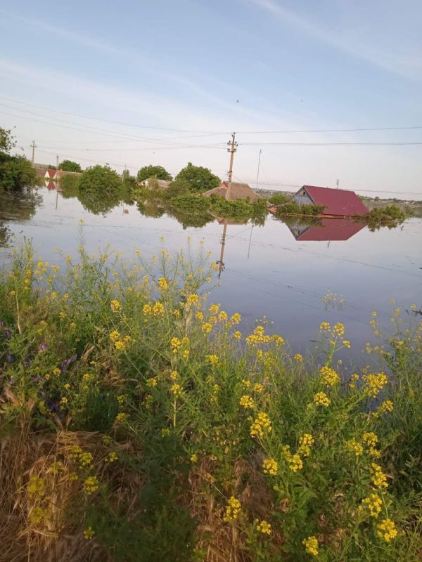 � �� ��� ������.... ����������� �.������� �� ������������ ����������, ���� ����, ����������� ������