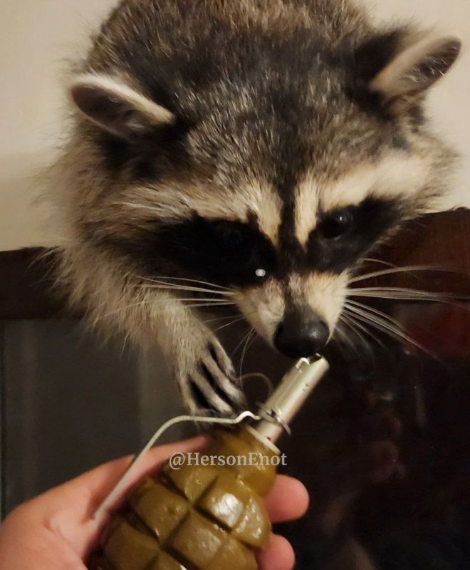 ���� �� �������: �������� �� @HersonEnot ������� �� ����� �������!