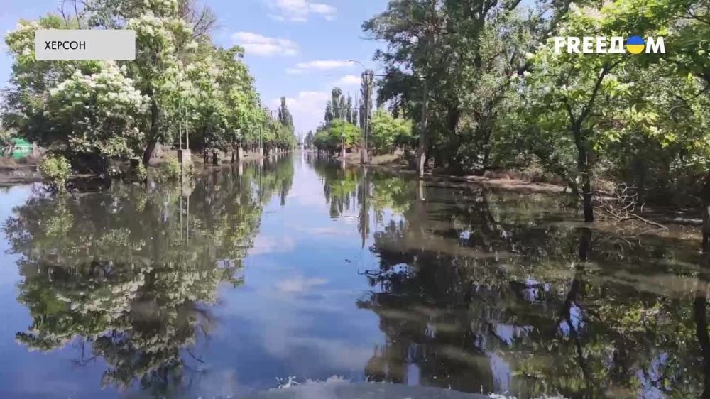 � �� ��� ������.... ��������� Free��� ����������� ����� �� ����������� ��� ������, ������� ��� ��������