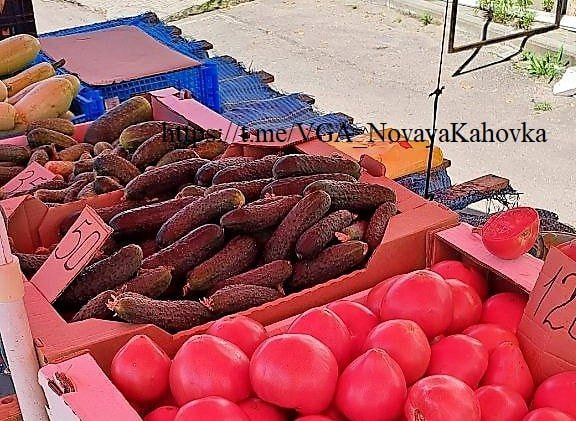 � ����� ������� ������������� ���� �� ��������� �����