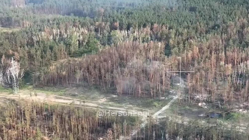 ���� �� �������: �� �������� ��� ��� ������� ���������� ���