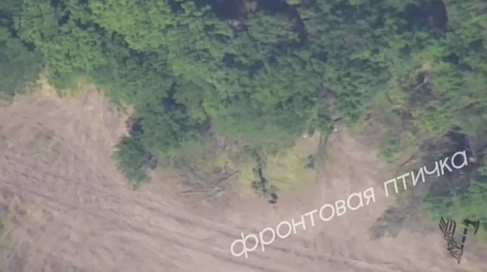 2�-36 �������-� vs ������ ���������� �����������