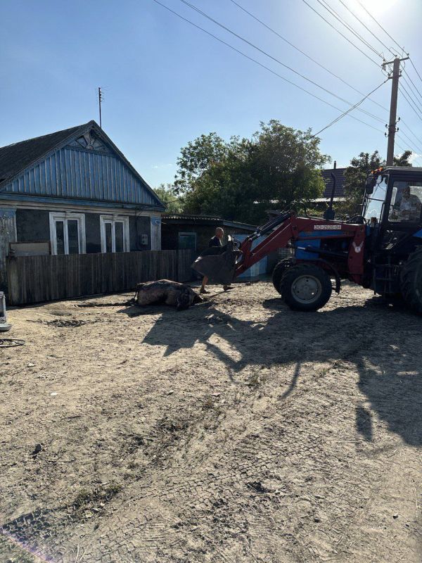 � ����������� �� �������� ���������� �����������, ����� ����������