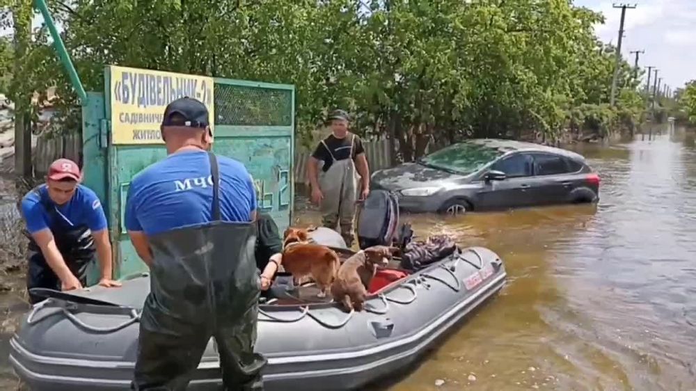 ��� ������ ������ �� �������� ���������� � ������������� ���������� � ���������� �������