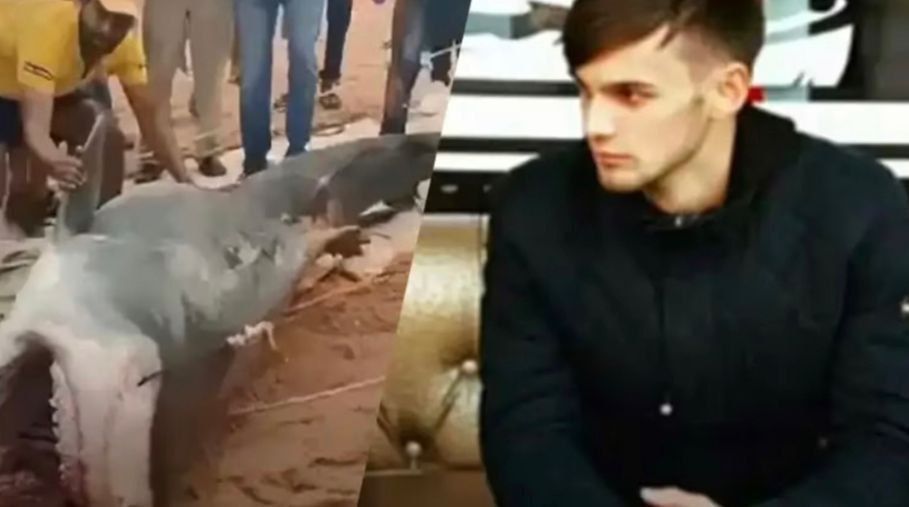 ���� ������� �������������