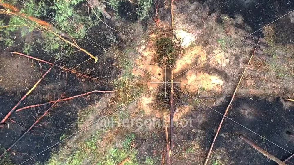 ���� �� �������: ������ �������������������� ������� � ��������� ����